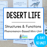 Desert Plant and Animal Adaptations Phenomenon Unit | Crea