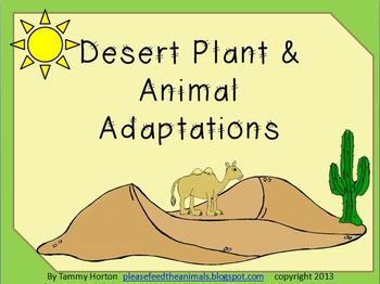 Desert Plant and Animal Adaptations Pack by Please Feed the Animals