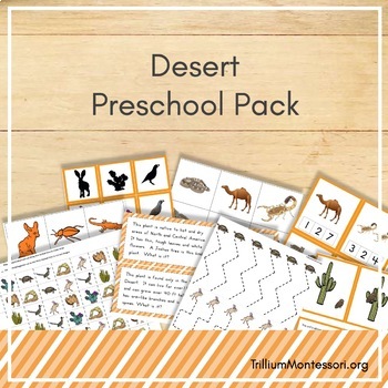 Preview of Desert Theme Preschool and PreK Skills
