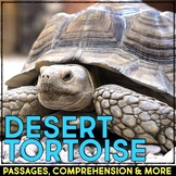 Desert Tortoise Animal Research Nonfiction Comprehension &