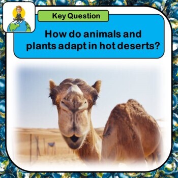 Desert adaptations, Plant and animal adaptations, Hot deserts, Desert  ecosystems