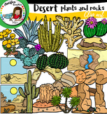 Desert plants and rocks
