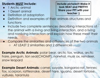 Animal Adaptations Project Teaching Resources | TPT
