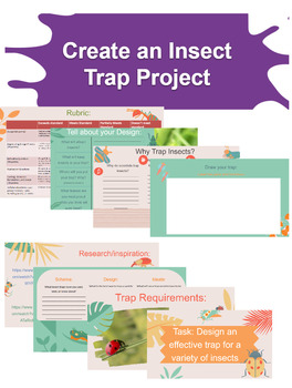 Preview of Design Insect Trap: Project (Engineering Design Process)