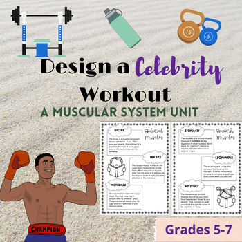 Preview of Design Your Own Workout - Physical Education and the Muscular System
