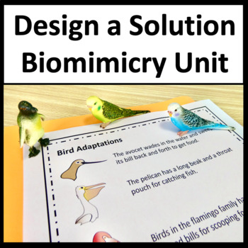 Preview of Design a Solution to a Human Problem by Mimicking - Biomimicry NGSS 1-LS1-1.