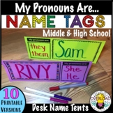 Desk tags for middle and high school students:  My pronoun