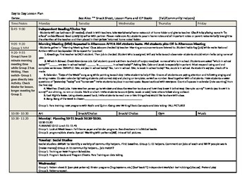 Preview of Weekly DETAILED Lesson Plan Template- Sped/Gen