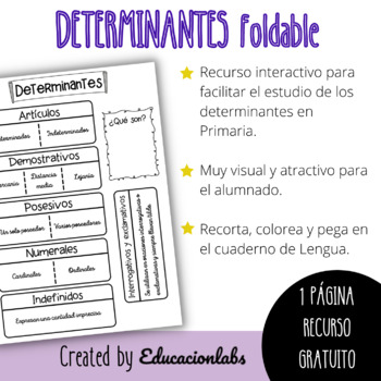 Determiners Foldable in Spanish Grammar by EducacionLabs | TpT