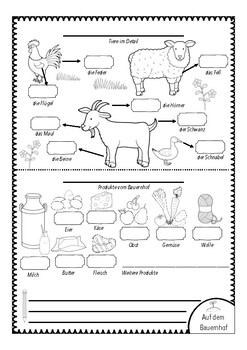 Deutsch Englisch Mehr Bildworterbuch Dictionary Bauernhof Tiere Farm