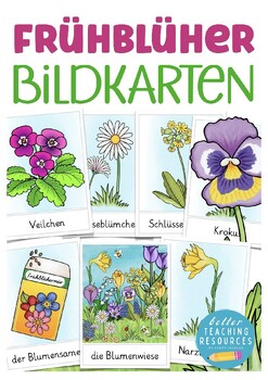 Preview of Deutsch Frühblüher Bildkarten German flash cards spring