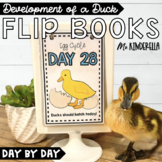 Development of a Duck Embryo Day by Day Flip Book Charts