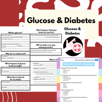 Preview of Diabetes Bundle