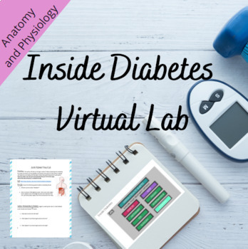 Preview of Diabetes VIRTUAL Lab- Anatomy and Physiology (Inside Diabetes)