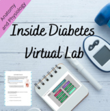 Diabetes VIRTUAL Lab- Anatomy and Physiology (Inside Diabetes)