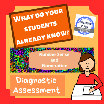 Preview of Number Sense and Numeration Diagnostic Assessment