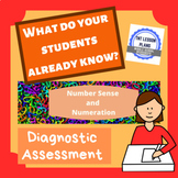 Number Sense and Numeration Diagnostic Assessment