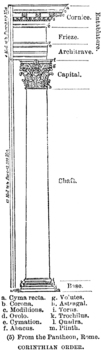 Preview of Diagram of Corinthian Architectural Order