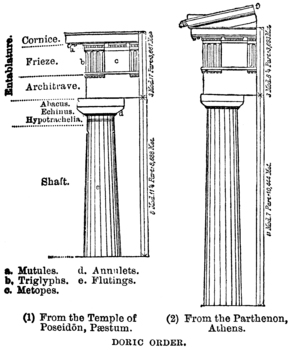 Preview of Diagram of Doric Architectural Order