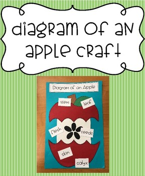 Preview of Diagram of an Apple Craft - Label the Parts