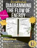 Diagramming the Flow of Energy