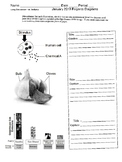 Diagrams Analysis - January 2019 NYS Living Environment (B