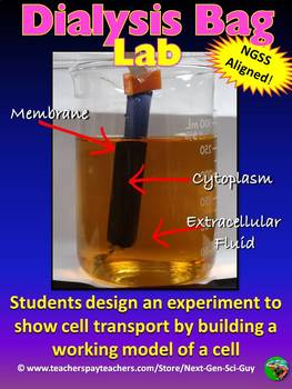 Preview of Dialysis Bag Lab: Membranes and Transport - NGSS