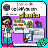 Diario de observacion de una planta / Spanish plant observ