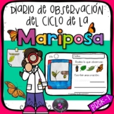 Diario del ciclo de la mariposa / Spanish butterfly life c