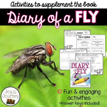 Preview of Diary of a Fly