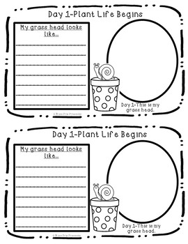 Diary of a Grass Head by Miss Pris Presents | TPT