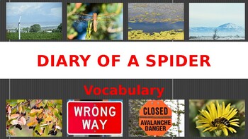 Preview of Diary of a Spider Vocabulary Words, Pictures, and Definitions.