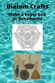 Preview of Diatom crafts: box or ornaments