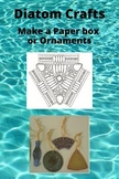 Diatom crafts: box or ornaments