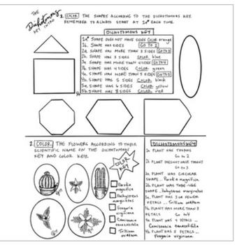 Dichotomous Key Coloring Sheet By Scientifically Speaking Is My Favorite