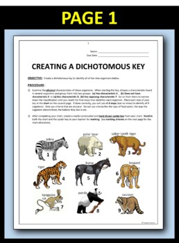 Dichotomous Key - Create A Dichotomous Key Activity Editable | TpT
