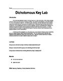 Dichotomous Key Lab