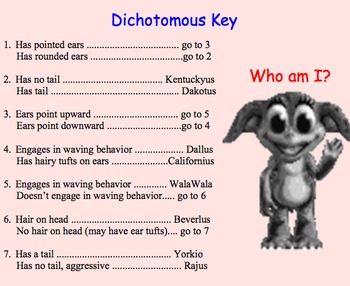 Preview of Dichotomous Key - Lesson Plan, Presentation, Activities, Assignments