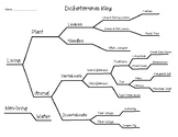 Dichotomous Key Worksheet