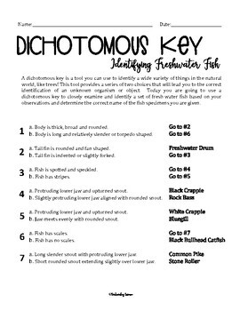 dichotomous key worksheet