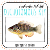 Dichotomous Key Worksheets: Fish Identification and Key Bu
