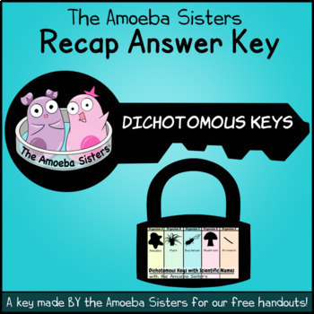 Preview of Dichotomous Keys Answer Key by The Amoeba Sisters