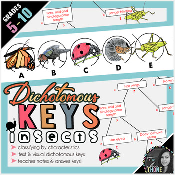 Preview of Dichotomous Keys Insects