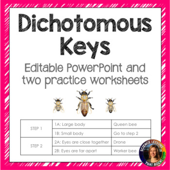 Preview of Dichotomous Keys Powerpoint and Worksheets