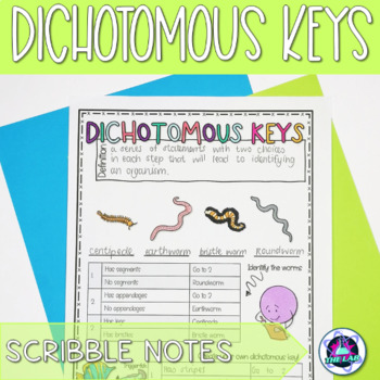 Preview of Dichotomous Keys Scribble Notes Freebie