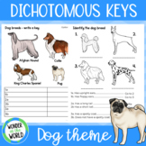Dichotomous keys printable worksheets for science with bre