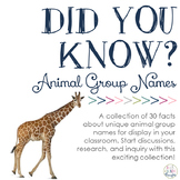 Did You Know? Fun Facts For Your Classroom {Animal Group Names}