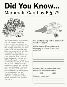 Preview of Did You Know...Mammals Can Lay Eggs? Worksheet
