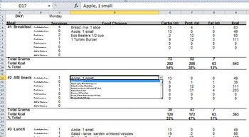 Preview of Diet Designer tool