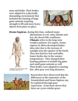 Differences in Adaptations among Neanderthals and Homo Sapiens | TPT